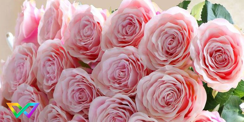 mo-thay-hoa-la-diem-bao-gi-2